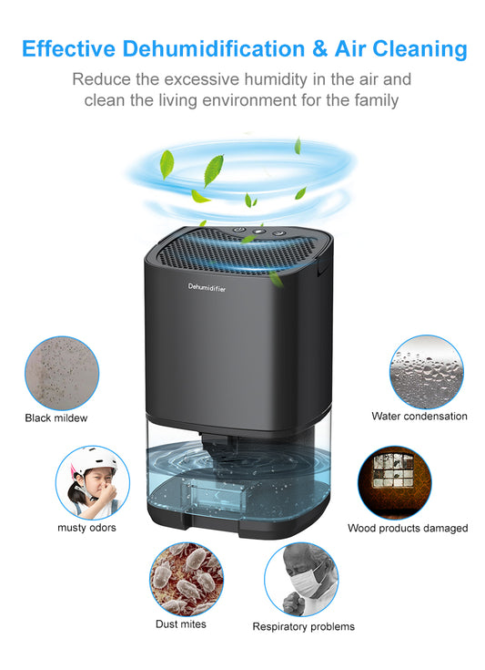 air dehumidifier with air cleaner
